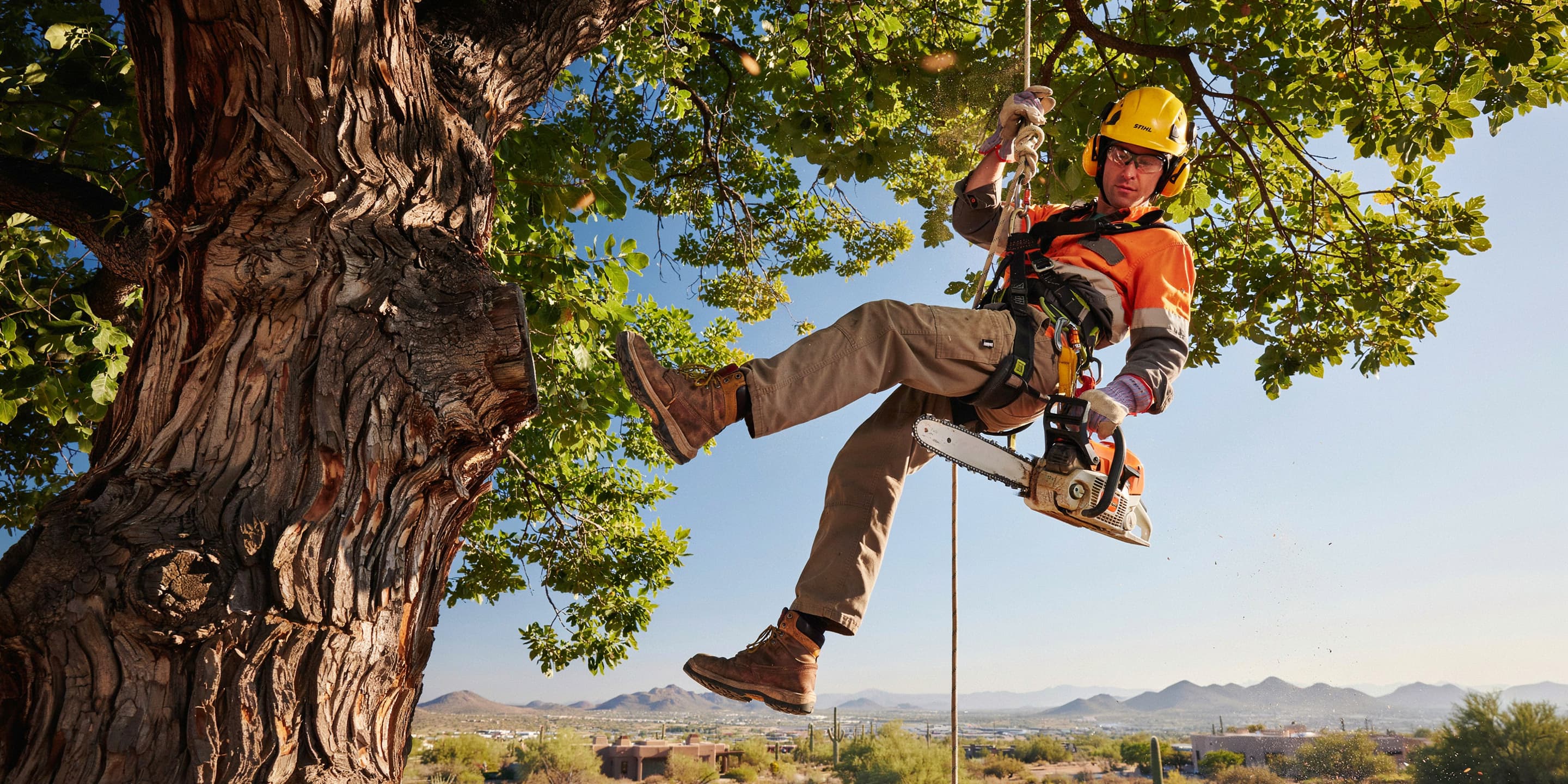 Arborist reviewing tree service Google Ads cost per lead benchmarks on a tablet beside a bucket truck